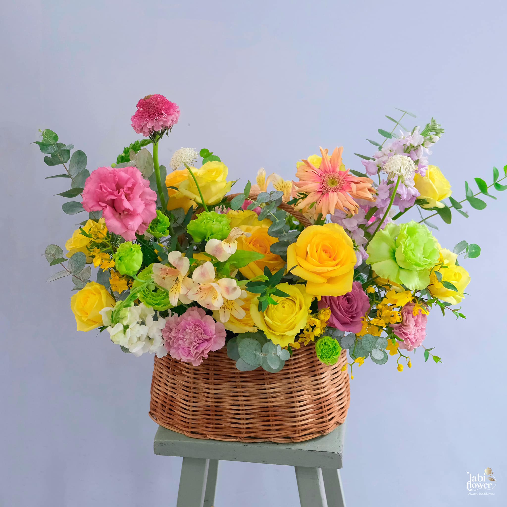 Giỏ hoa - Hộp hoa