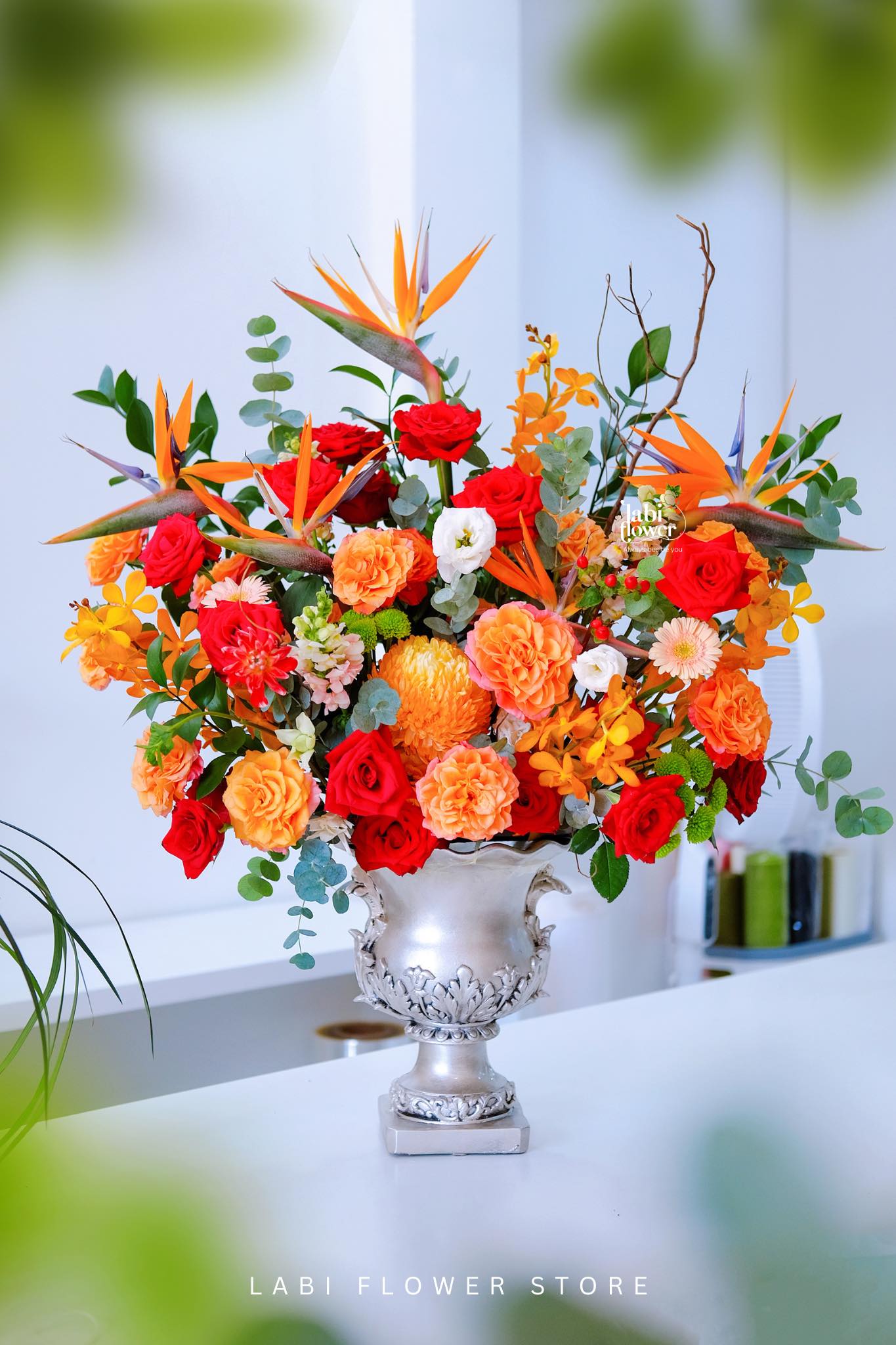 HOA THẢ BÌNH HTB01194