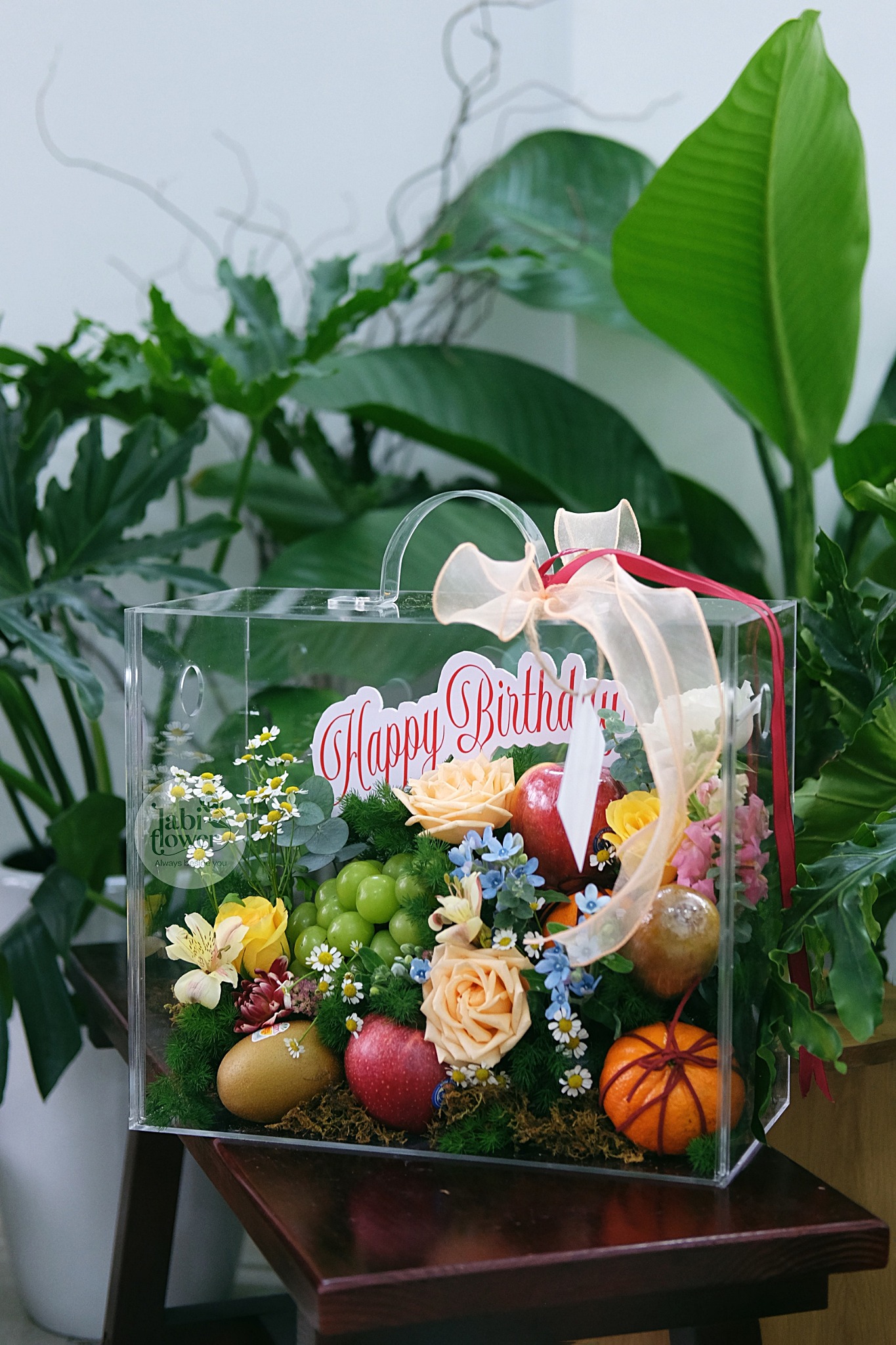 VALI TRÁI CÂY GT01306